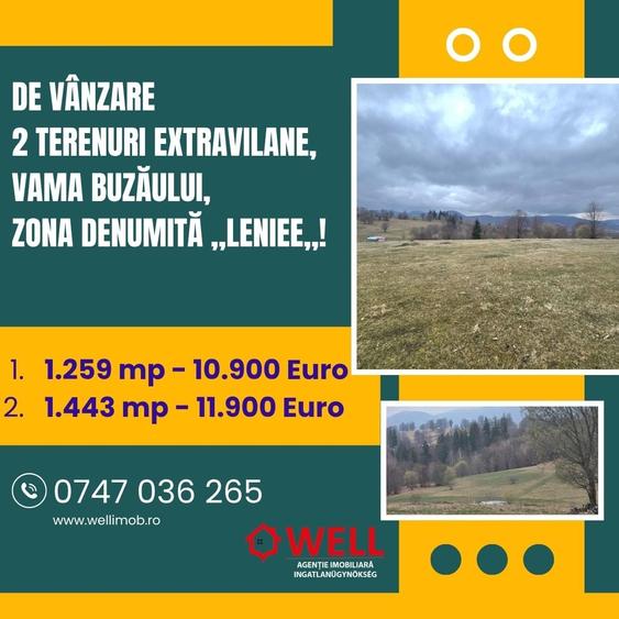 De vânzare 2 terenuri extravilane în localitatea Vama Buzăului, în zona denumită - 1