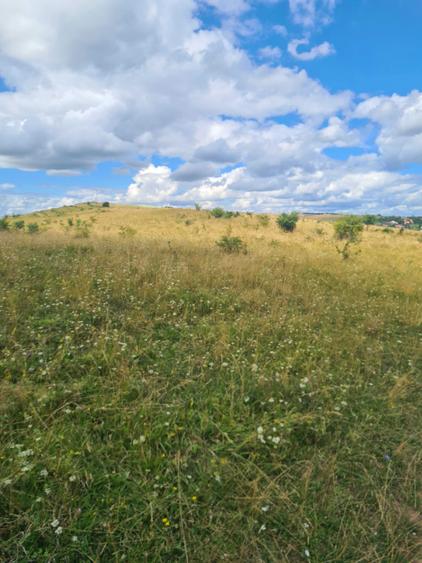 Teren extravilan 2500m2. Panorama superba.-Salicea - 6