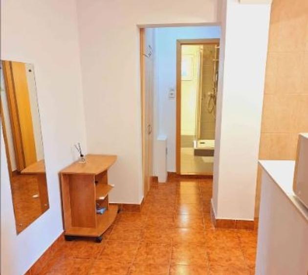 Apartament 2 Camere Tineretului,Piata Norilor,bl.1986,et.1/8,DECOMANDAT,Amenajat - 5