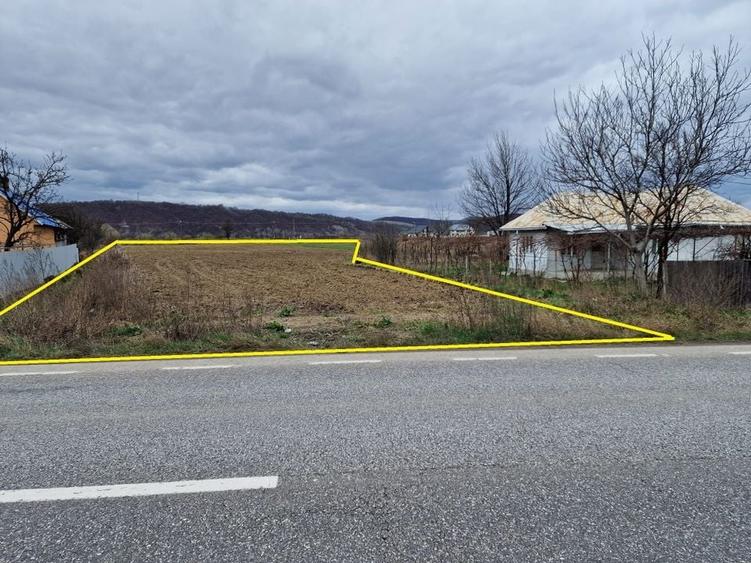 Teren intravilan in Sanduleni/Bacau de vanzare - 1