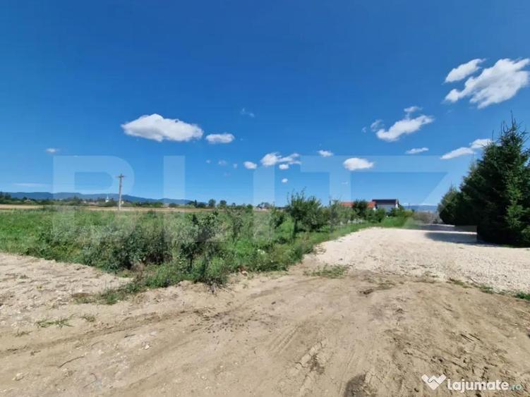 Teren 6300mp-Oportunitate investitie,zona in dezvoltare - 4