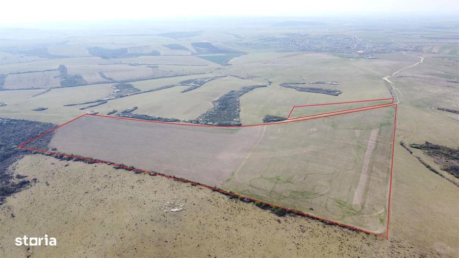 Teren 26.82 ha Ardud | Oportunitate pentru dezvoltare - 2