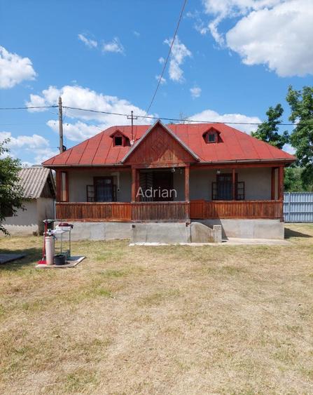 Vand casa cu livada in satul Ionesti Arges