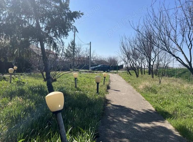 Vila Branesti Islaz foarte spatioasa stradala-ideal afacere - 6