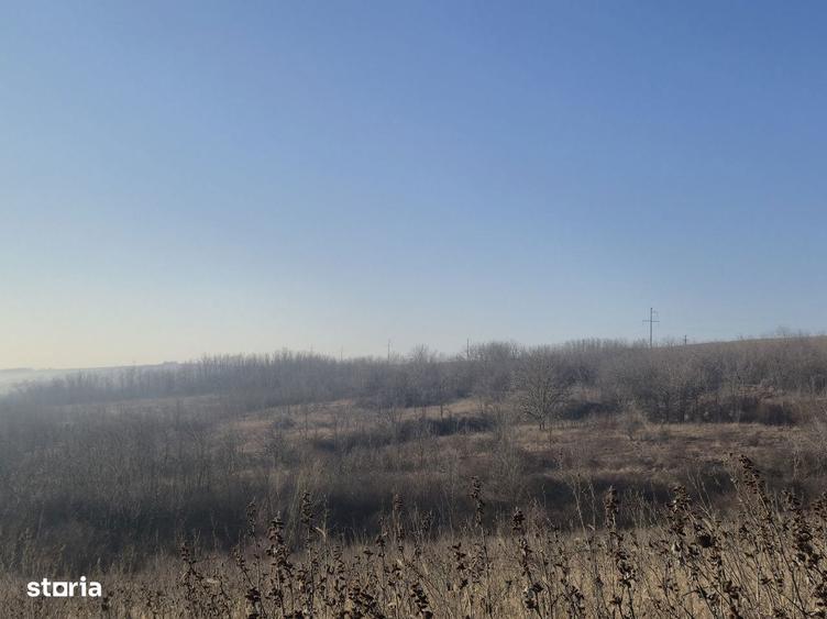 Loturi de teren de vanzare in Bratuleni Miroslava|15 /mp|Rate-2 ani - 2