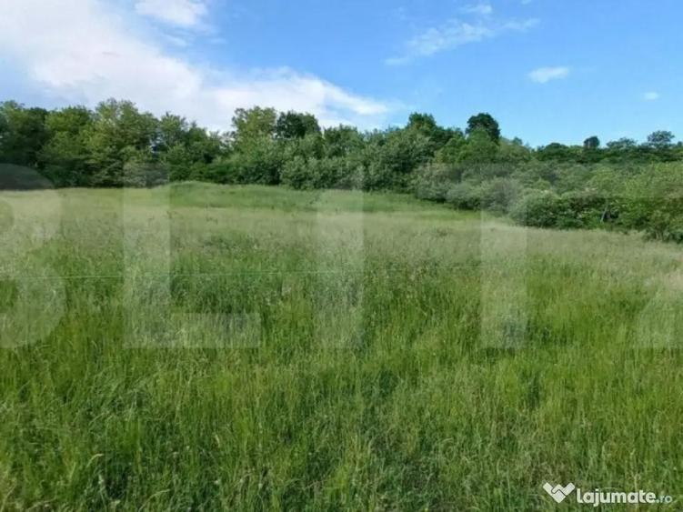 Teren intravilan, 9100 mp, zona Crainimat - 1