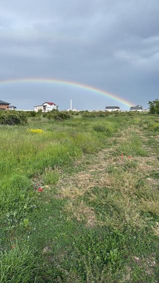 Teren 540 mp Magurele strada Nuferilor  - 1