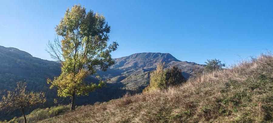 Casă cu 3 camere în Plai
