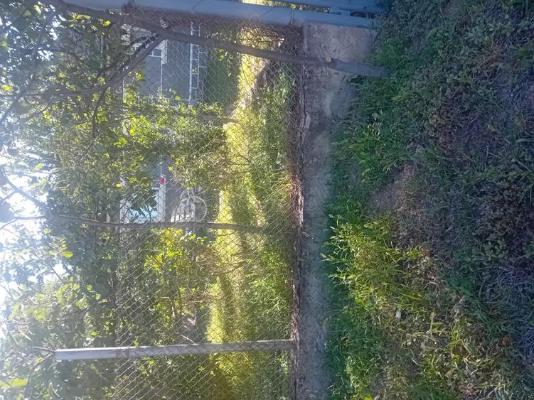 Vand casa de locuit Cuvin ARAD - 6