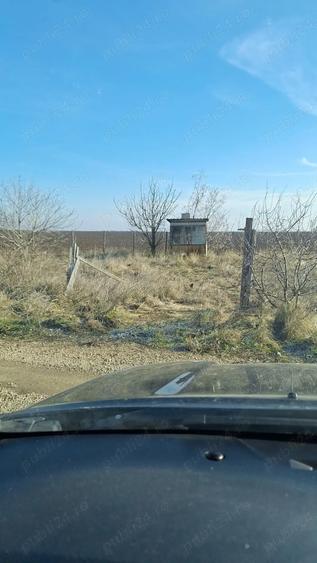 teren de vanzare Odaia Manolache , Galati - 3