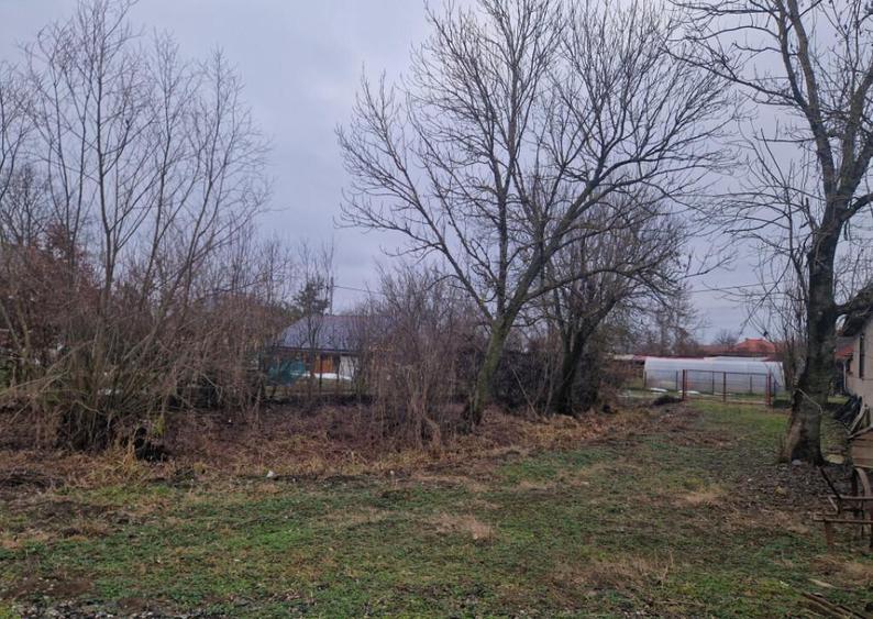 Casa veche cu teren generos sat Mogo?e?ti, com. Satu - 14