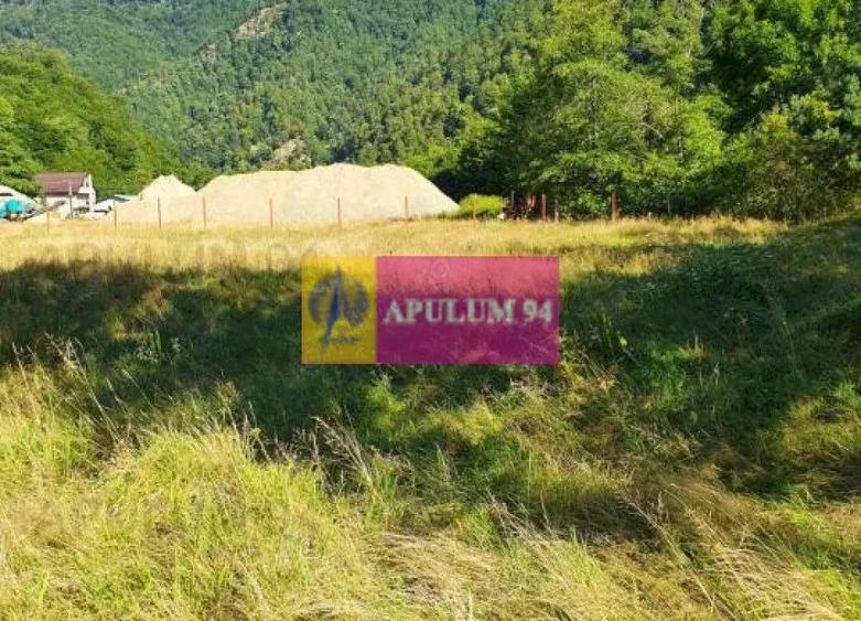 Teren Jude?ul Valcea - Brezoi, Valea lui Stan - 5