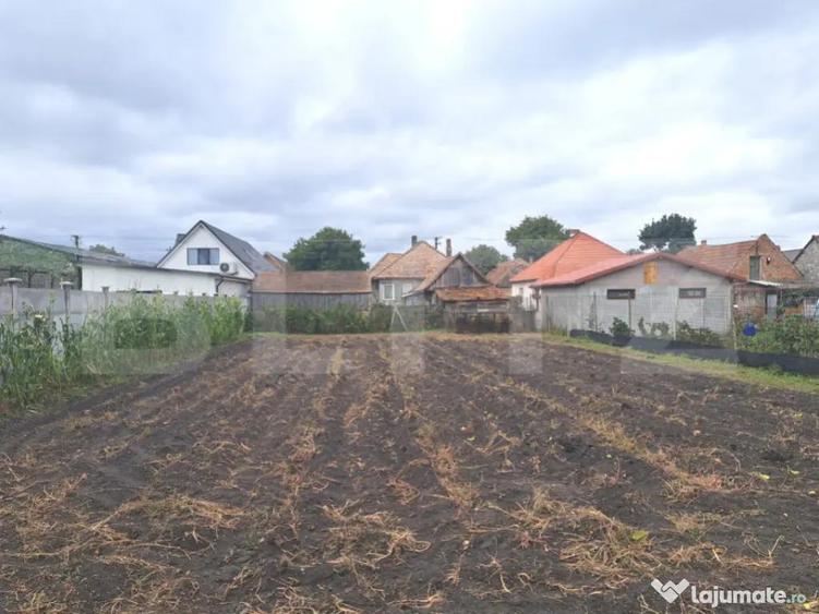 Vand casa cu teren generos Halchiu, aproape de Bra?o - 2