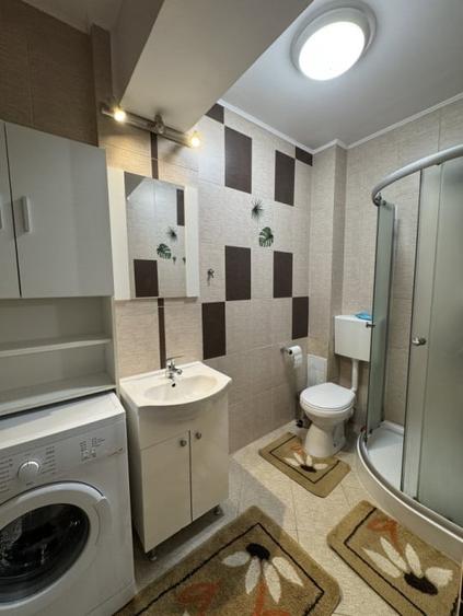 Apartament 2 Camere | Mobilat si Utilat | zona Doamna Stanca - 9