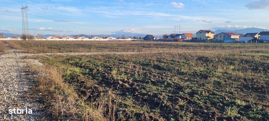 Vindem parcele de teren cu utilitati - Halchiu - 4