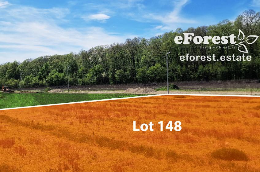 Terenuri premium de vanzare, langa padure, acces asfaltat din DN1A - 8