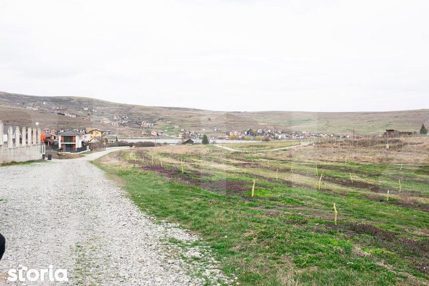 Teren 5800 mp in Campenesti cadru natural deosebit, ideal pentru i - 2