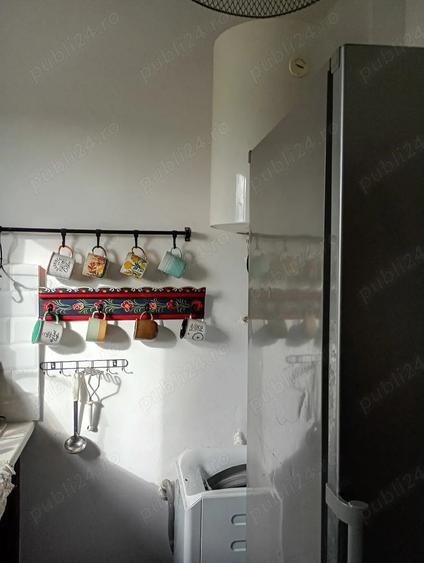 Domeniu cu 24000 mp adica 2,4 hectare - 7