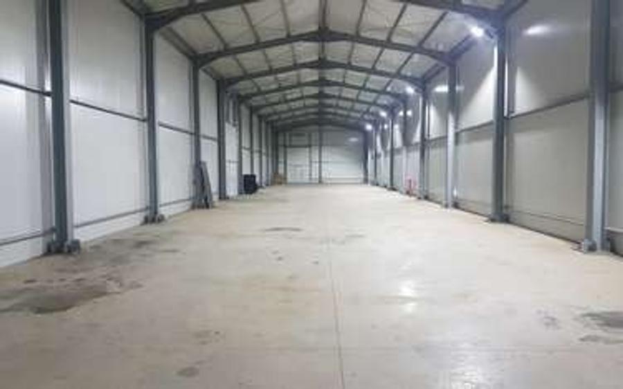 Hală nouă de închiriat în Domnești – 300 mp, 1990 €/lună promoțional - 6