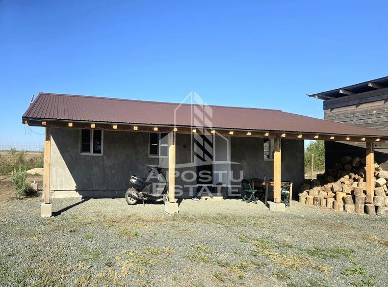 Fermă cu casa, zero comision, in Horia - 7