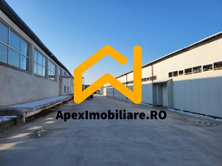 Hala Industriala Xenia – 1800 mp, Acces TIR, Parcare 50 Auto - 7