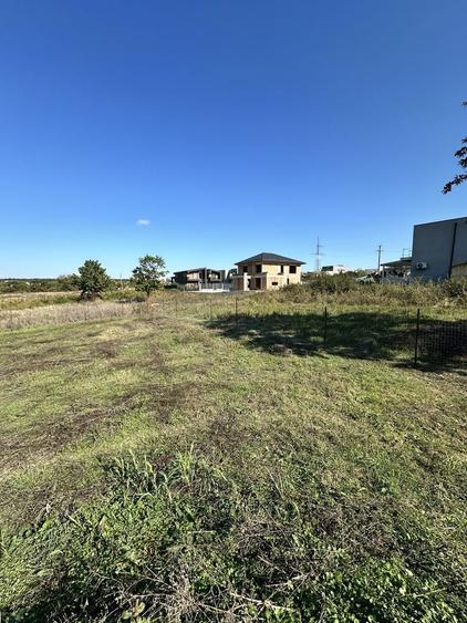 Teren Mogosoaia 624mp (proprietar) - 1