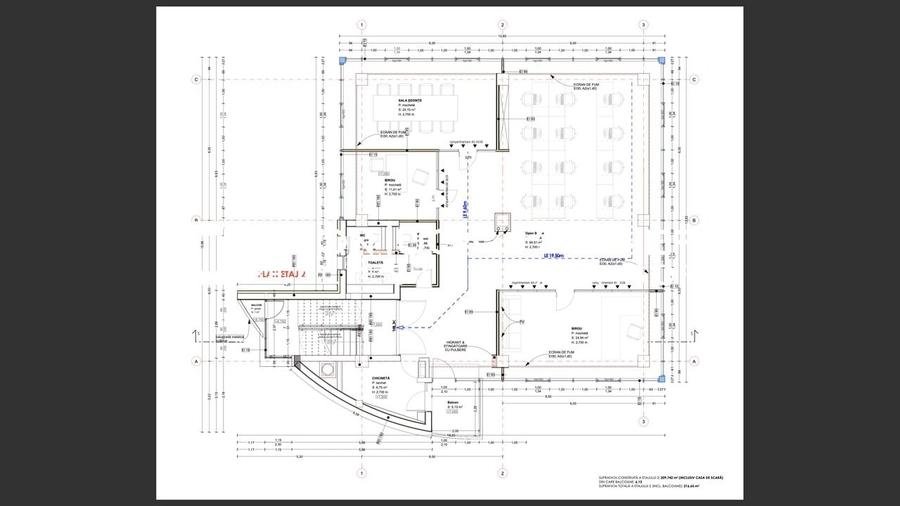 Birouri de inchiriat Brancusi - 13