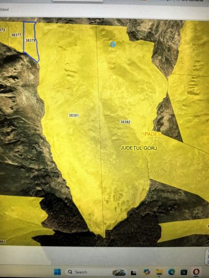 Teren pasune de vanzare - 1