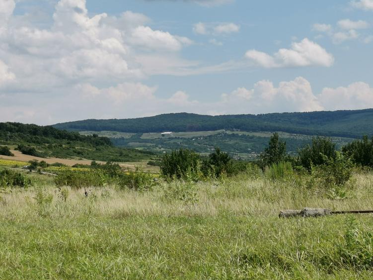 BUCIUM , 6 KM DIN IASI , teren perfect plan , 99.999 % acces pe asfalt - 11