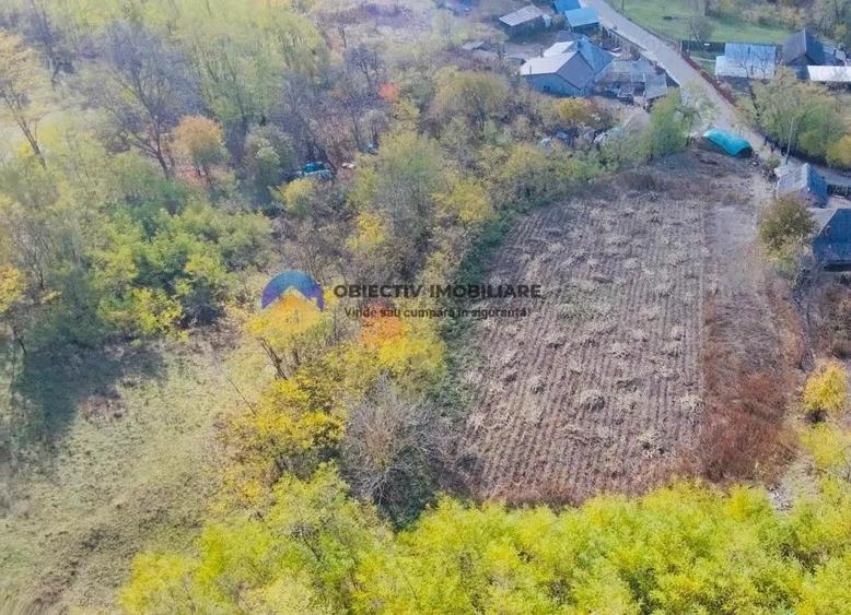 Teren de vanzare 11.766 mp Costi?a, jude?ul Neam? - 6