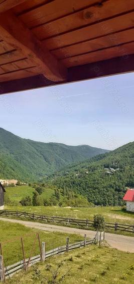 Cabana cu teren la munte - 5