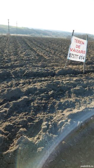 Teren de 5000 mp, în Leorda