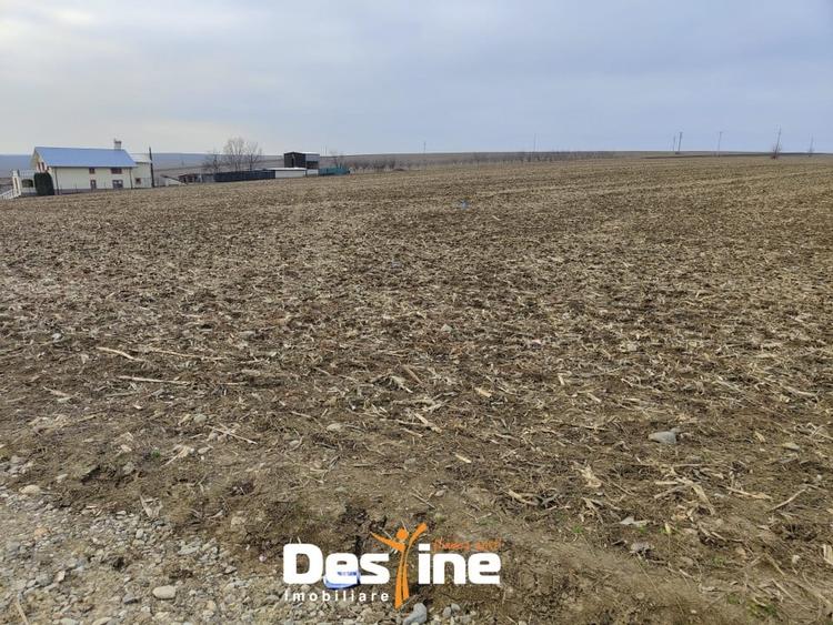 Comision 0% - Teren Primarie Dumesti, 8100 mp, front 13 ml, - 1