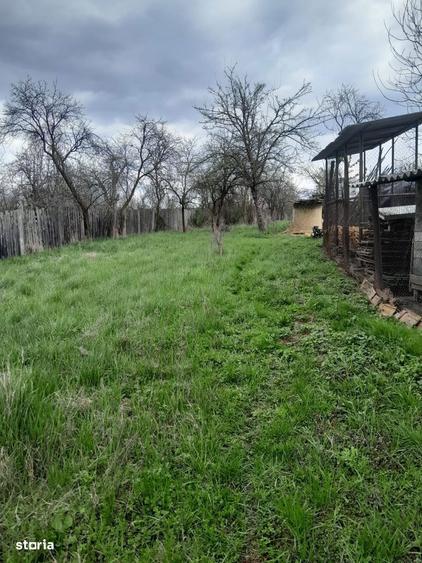 Teren de vanzare in Vaidei - 7