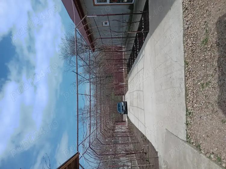 Casa de vinzare - 1
