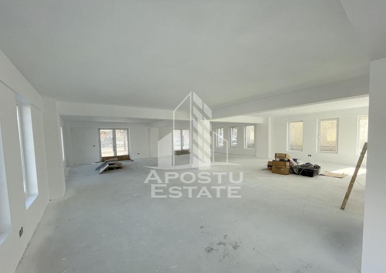Spatiu comercial 120 mp, zona Lipovei , artera circulata - 4