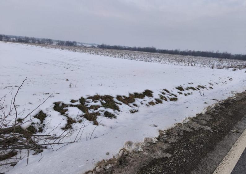 Teren 6000mp, 30 ml deschidere la DN 2H, Horodnic de Jos, Ra - 1