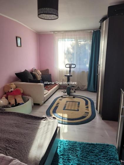 Vanzare proprietate cu 2 case Zurbaua- Dragomiresti Vale - 5