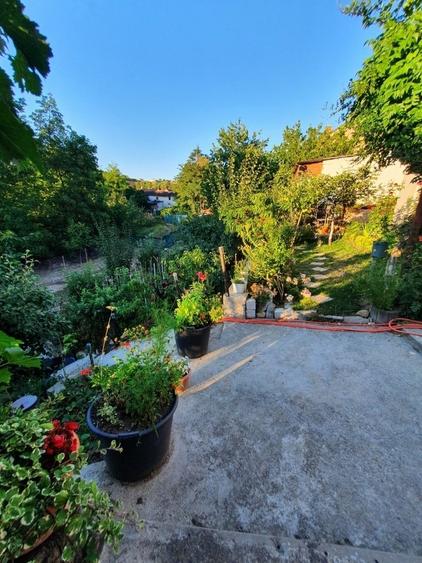 Casa cu gradina #pret negociabil # singur in curte - 2