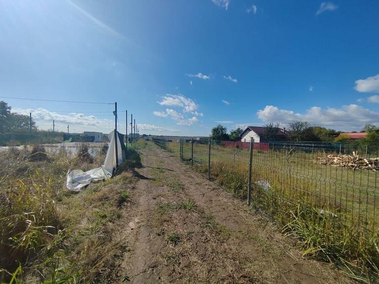 Gagu Dascalu teren ideal pentru investitie zona in dezvoltare - 8