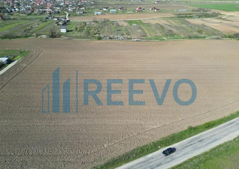 Teren de vanzare, Com. Nicolae Balcescu, Jud. Bacau - 4