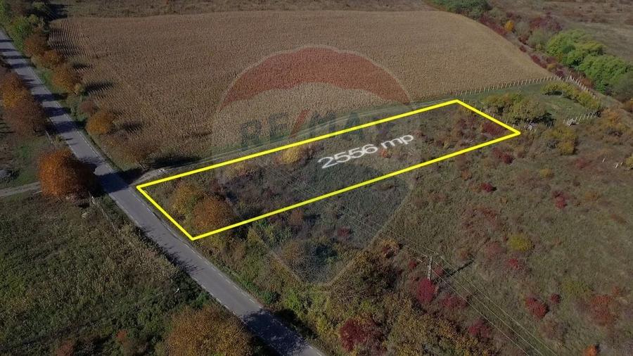 Teren Padureni (Chinteni), intravilan, parcelabil - 11