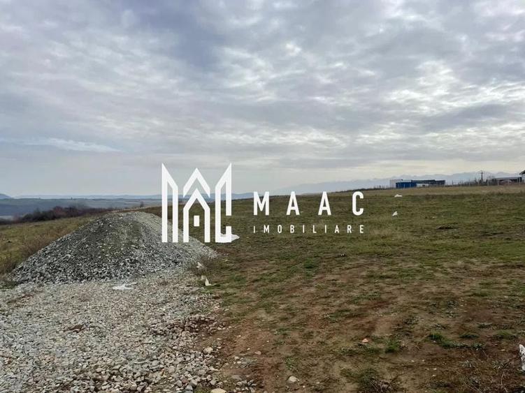 Teren intravilan | 500 MP | Daia - 4