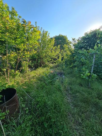 Vanzare proprietate, in Galati, langa Spitalul Militar, sup.teren 712mp - 9