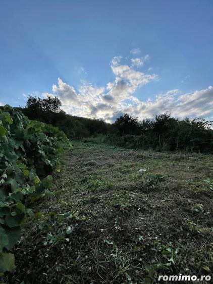 vand casa la ?ara! - 1