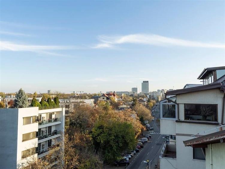 Penthouse 2 camere, inchiriere lunga durata, Herastrau - 24