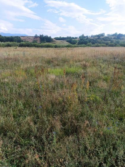 Vand teren pe Valea Avrigului - 3