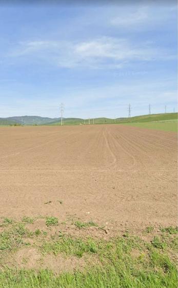 Teren de vanzare Calea Romanului, vis-a-vis de reprezentanta Skoda - 2