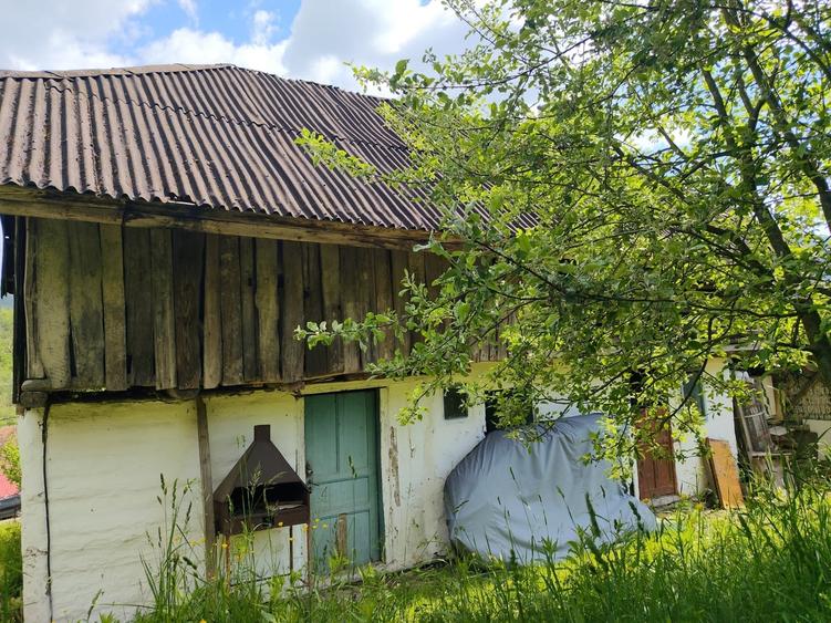 Comuna Gura Teghii, sat Furtunesti, judetul Buzau - 15