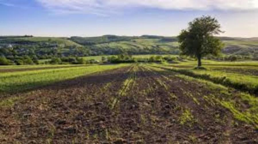 2,5 ha teren agricol la Celaru judetul Dolj - 1